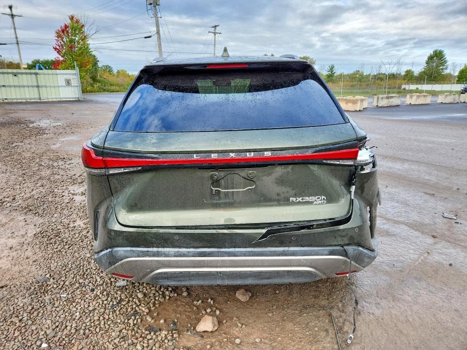 2025 LEXUS RX 350H LUXURY 6