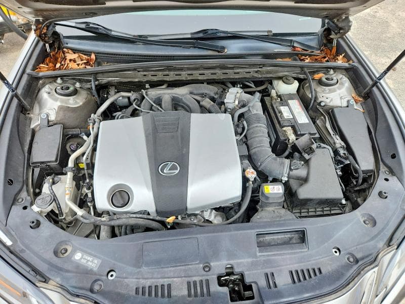 2019 LEXUS ES 350 11