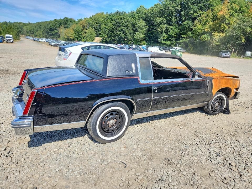 1981 CADILLAC ELDORADO 3