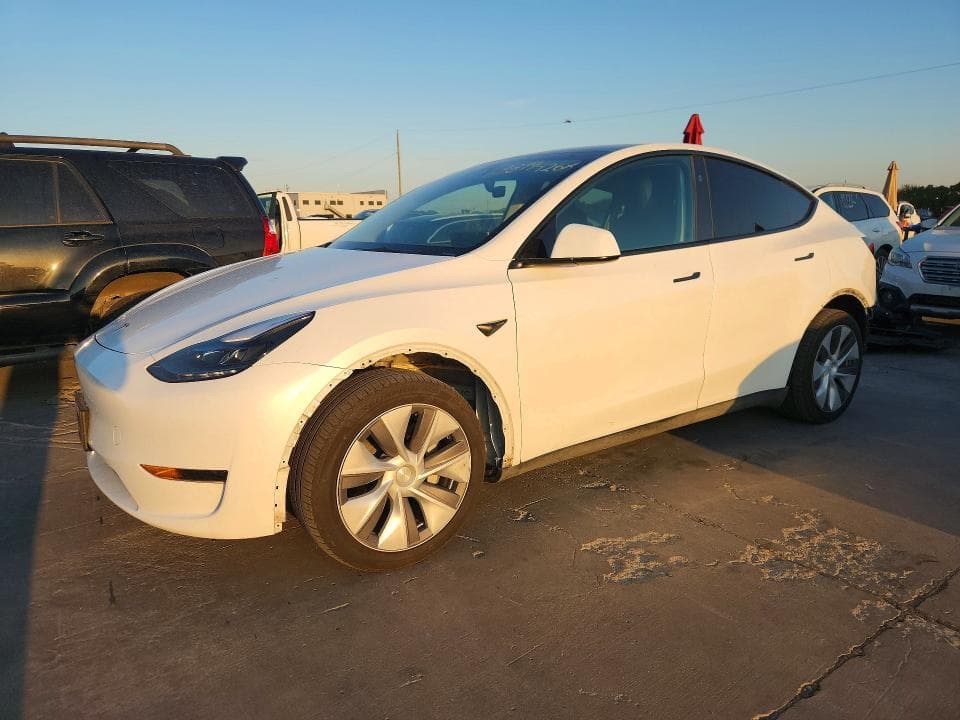 2024 TESLA MODEL Y - 1