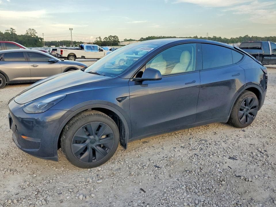 2025 TESLA MODEL Y - 1