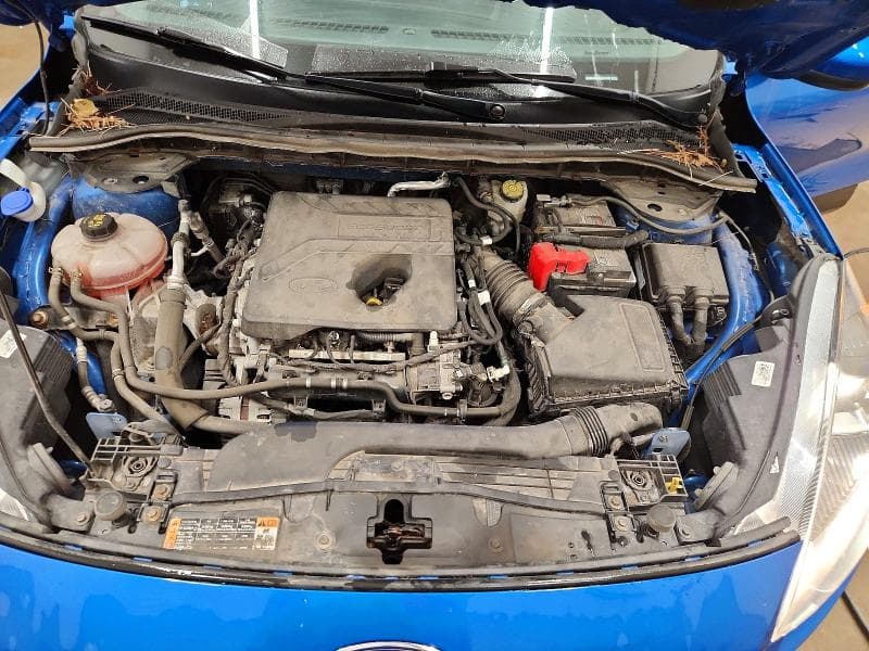 2020 FORD ESCAPE SE 12