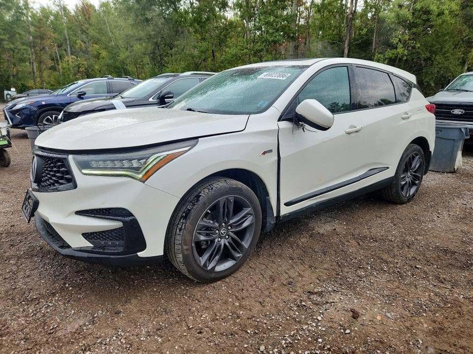 2019 ACURA RDX A-SPEC - 1