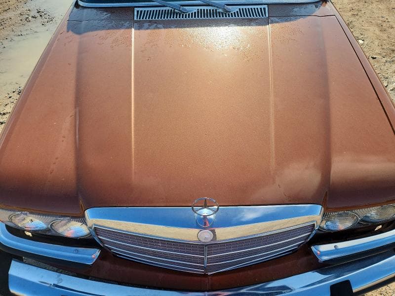 1977 MERCEDES-BENZ 450 SEL 11