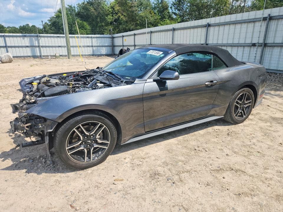 2019 FORD MUSTANG