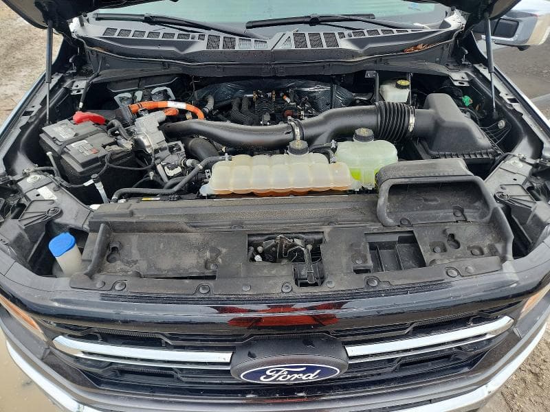 2024 FORD F150 XLT 11