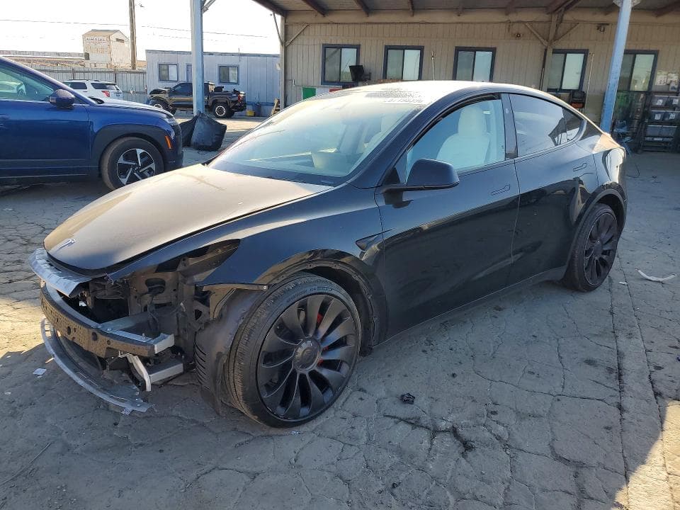 2025 TESLA MODEL Y - 1