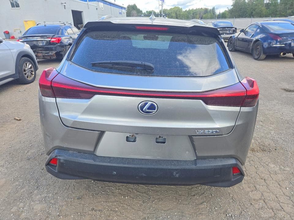 2019 LEXUS UX 250H 6