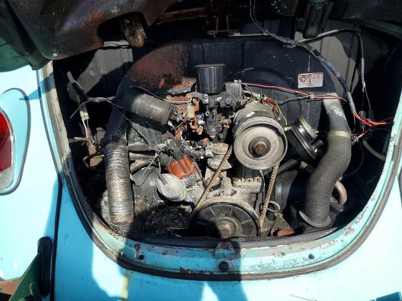 1969 VOLKSWAGEN BEETLE 11