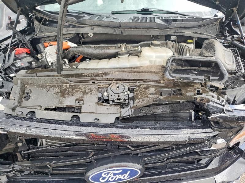 2024 FORD F150 XLT 11