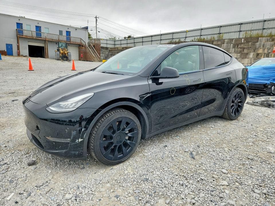 2021 TESLA MODEL Y - 1
