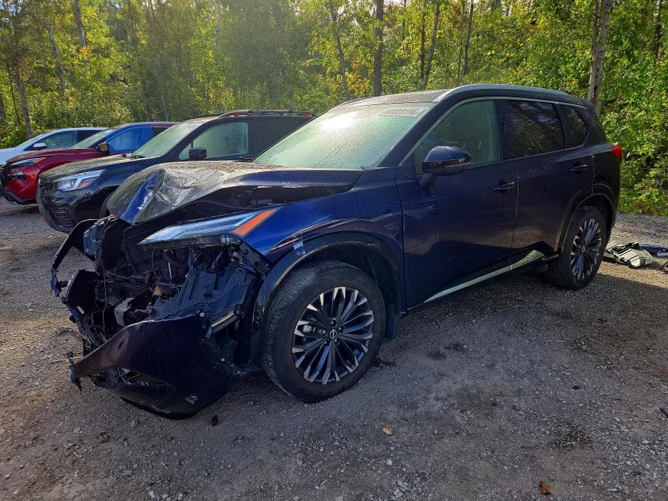 2024 NISSAN ROGUE PLATINUM - 1