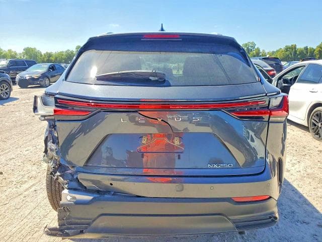 2024 LEXUS NX 250 PREMIUM 6