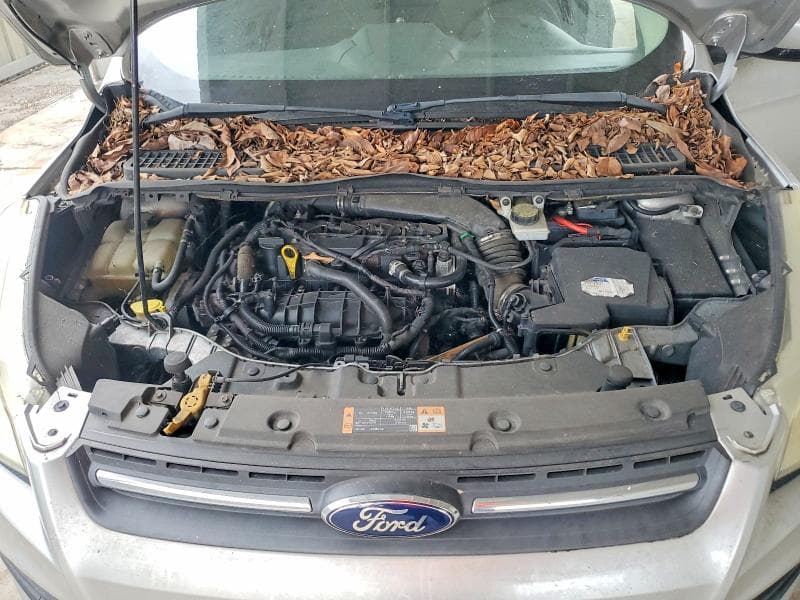 2017 FORD ESCAPE SE 12