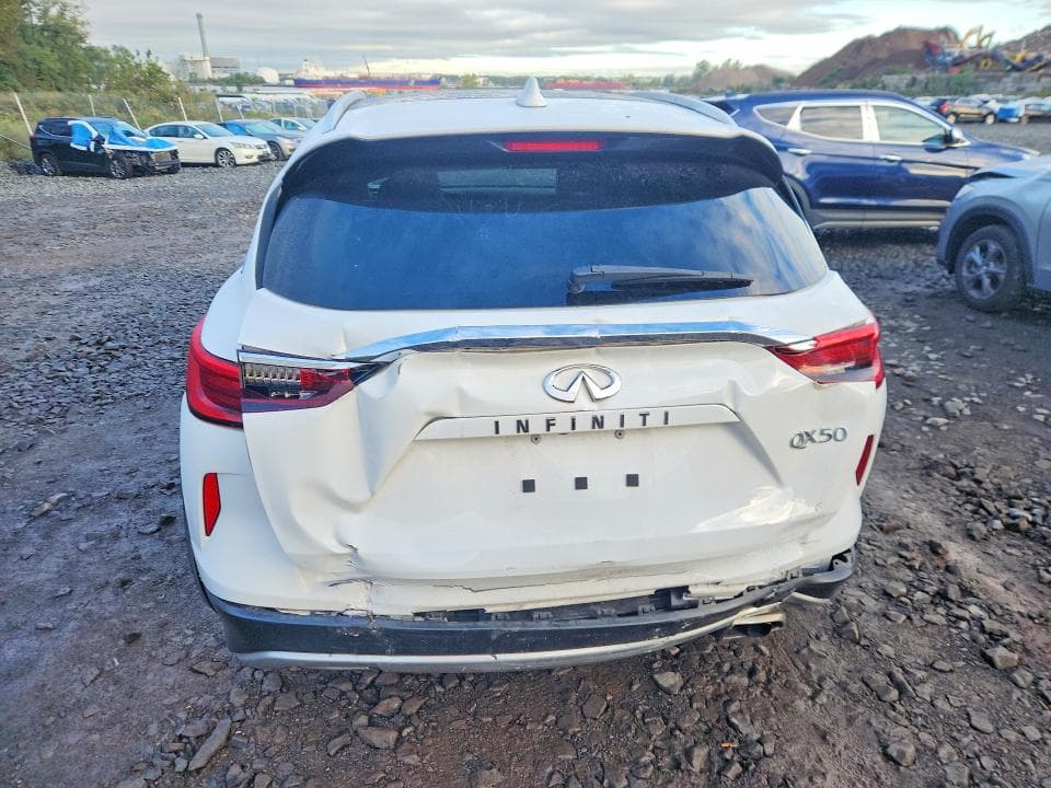 2019 INFINITI QX50 LUXE 6