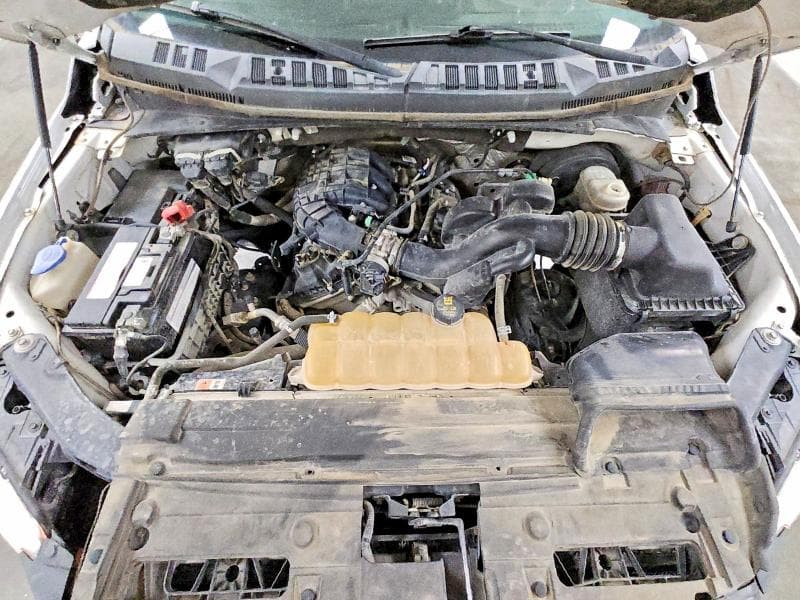 2017 FORD F150 11