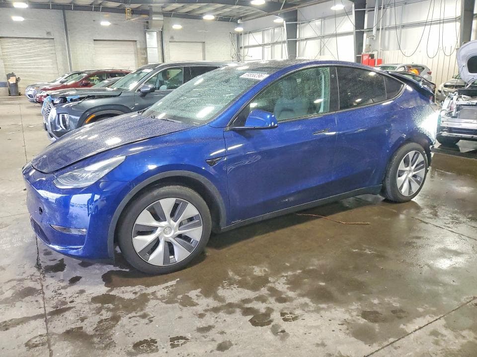 2021 TESLA MODEL Y - 1
