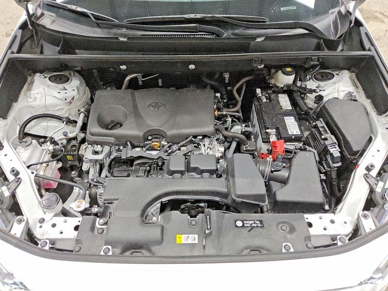 2025 TOYOTA RAV4 LE 11