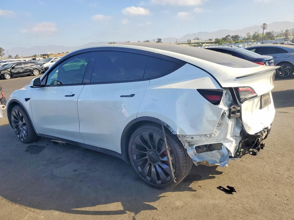 2025 TESLA MODEL Y 2