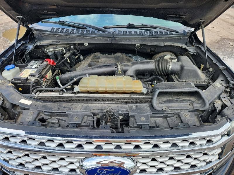 2019 FORD EXPEDITION MAX PLATINUM 12