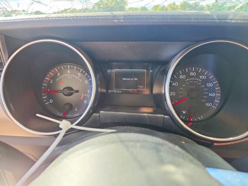 2019 FORD MUSTANG GT 9