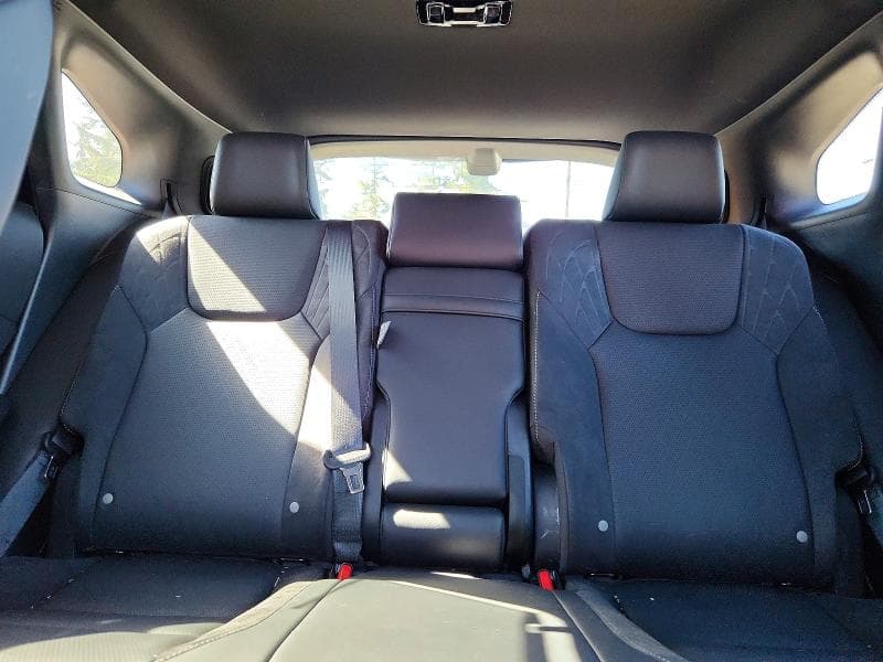 2025 LEXUS RX 350H LUXURY 10