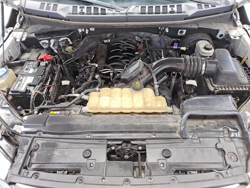 2019 FORD F150 11