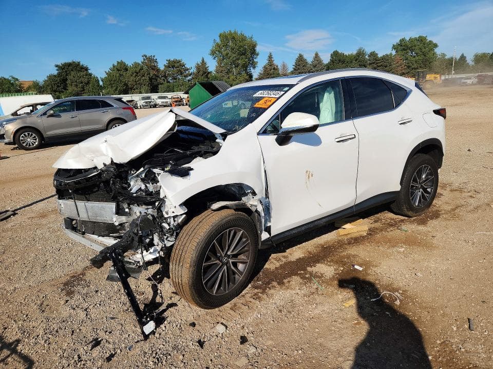 2024 LEXUS NX 350 PREMIUM - 1