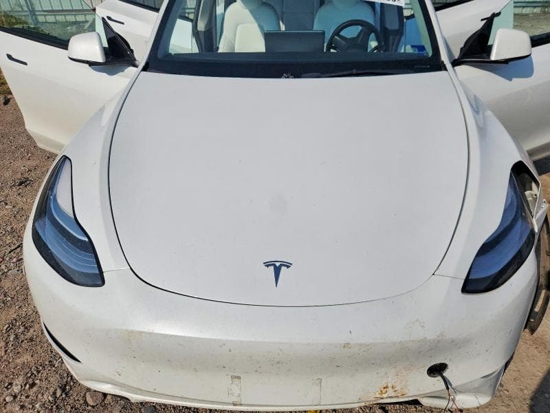 2023 TESLA MODEL Y 11
