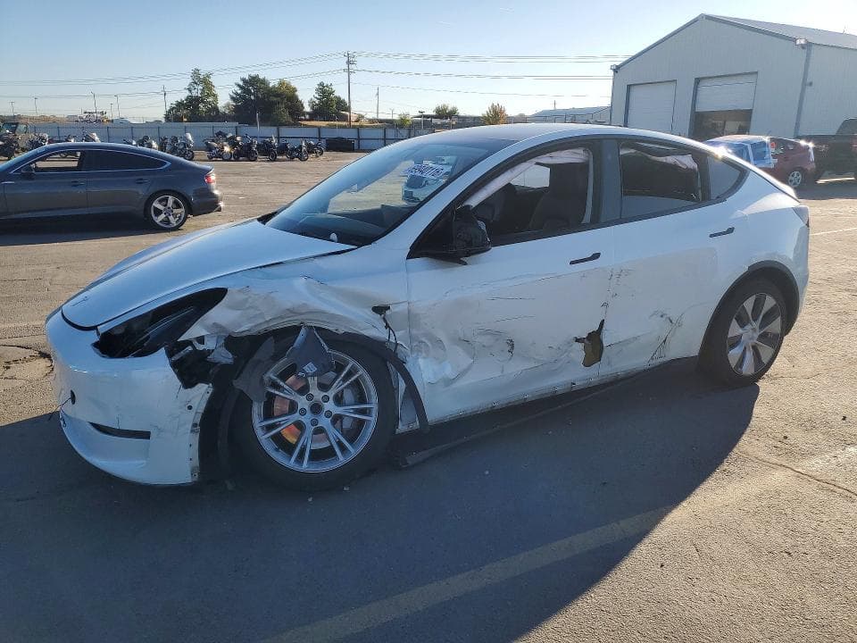 2021 TESLA MODEL Y - 1