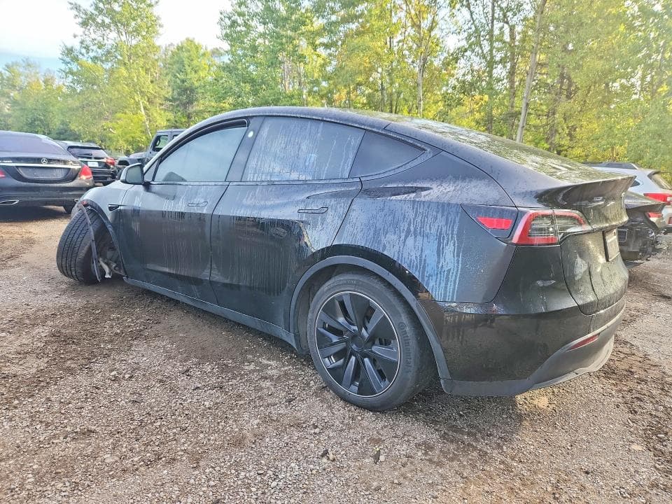 2024 TESLA MODEL Y 2