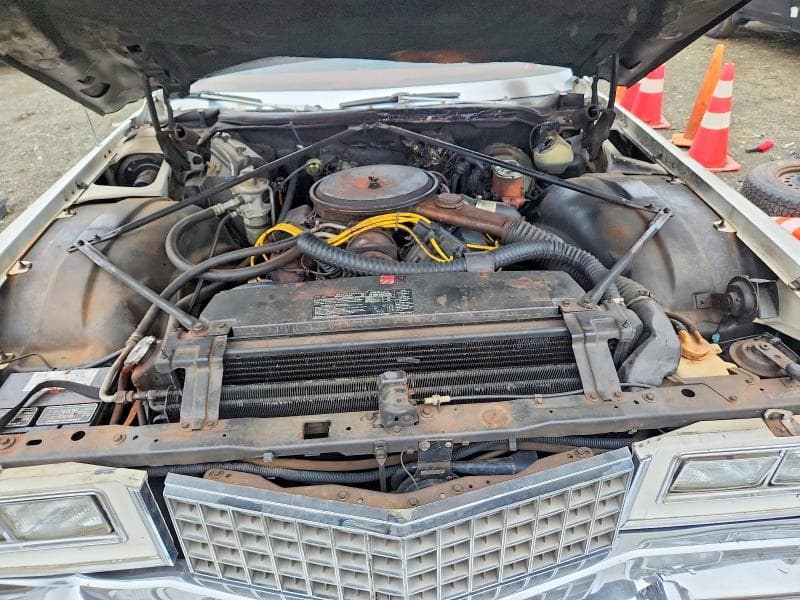 1976 CADILLAC DEVILLE 11