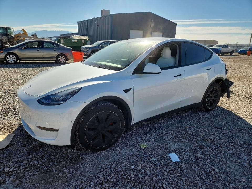 2021 TESLA MODEL Y - 1