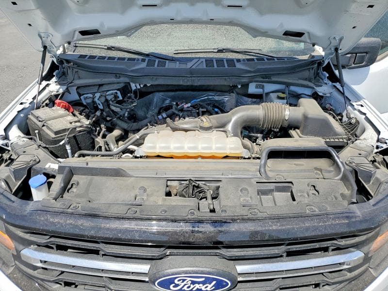 2025 FORD F150 XLT 11