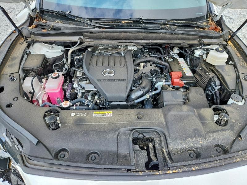2025 LEXUS RX 350 PREMIUM 12