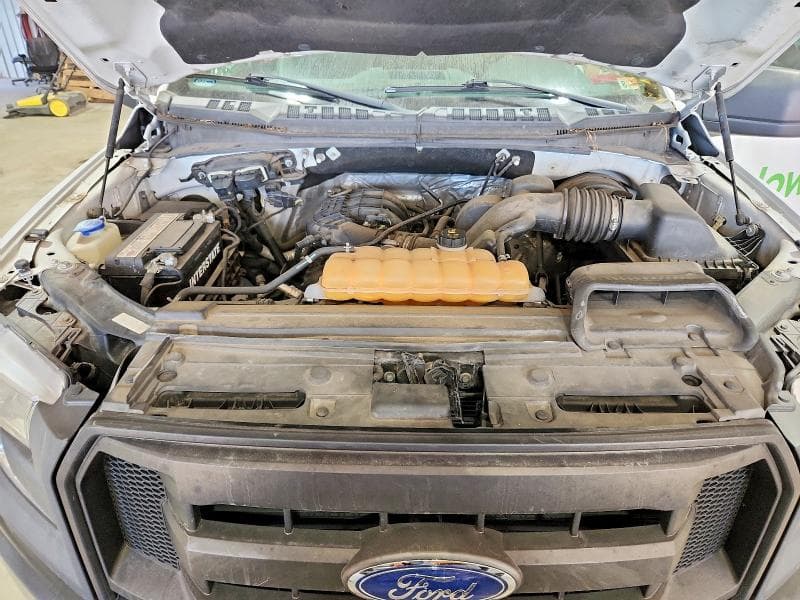 2017 FORD F150 11