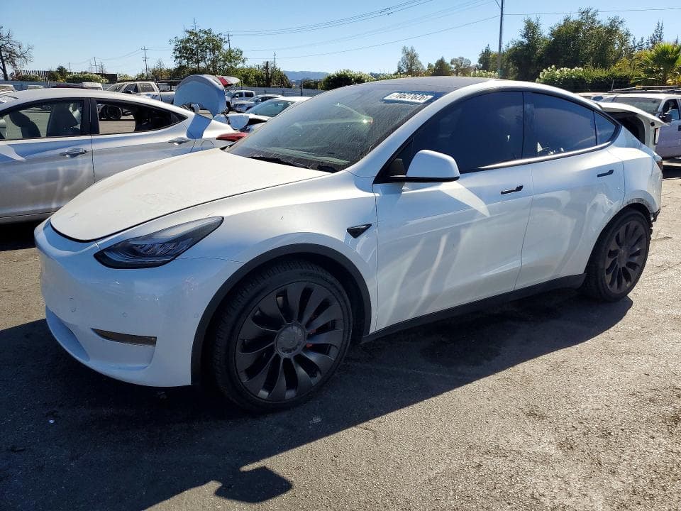 2020 TESLA MODEL Y - 1