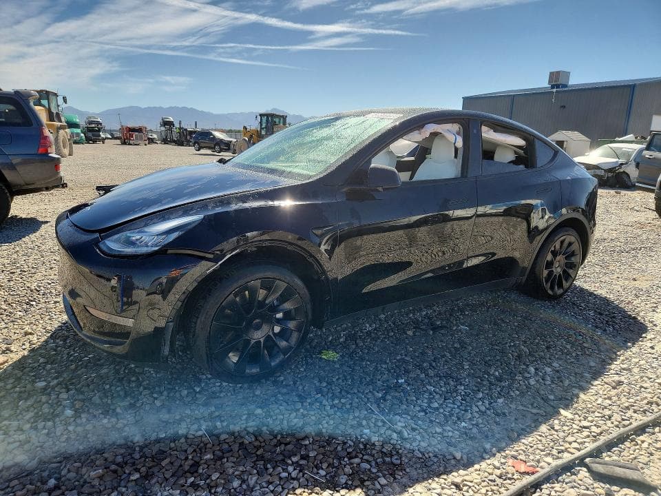 2021 TESLA MODEL Y - 1