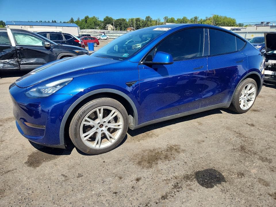 2020 TESLA MODEL Y - 1