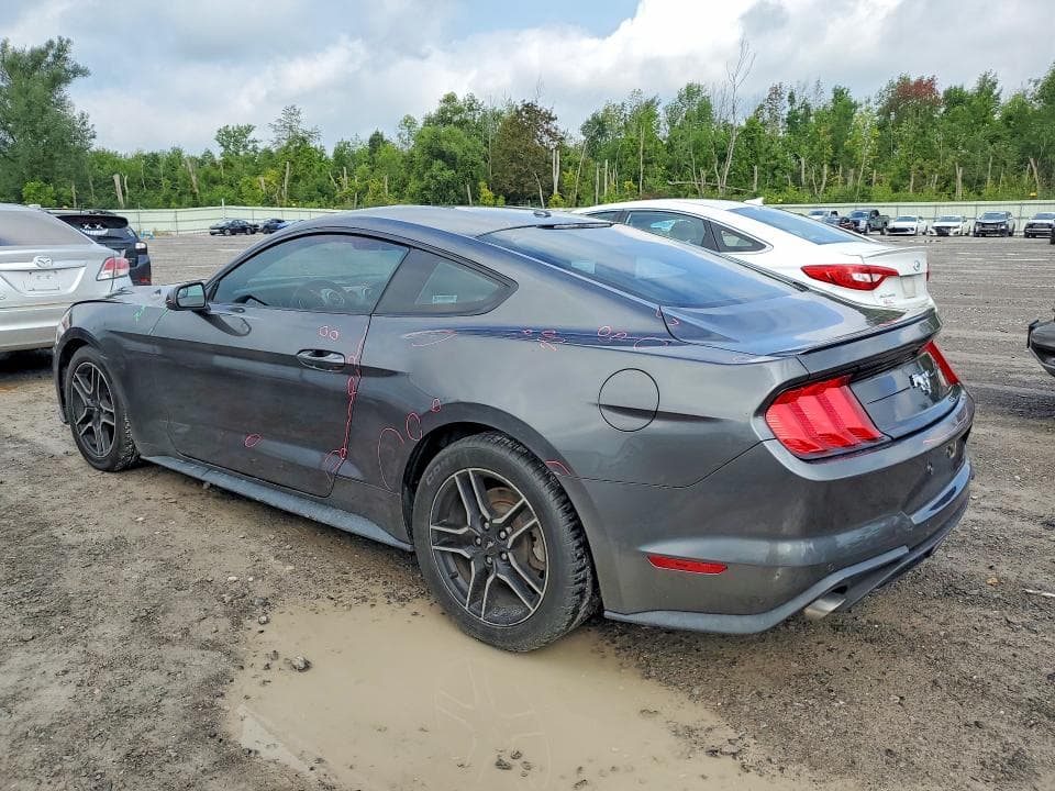2019 FORD MUSTANG 2