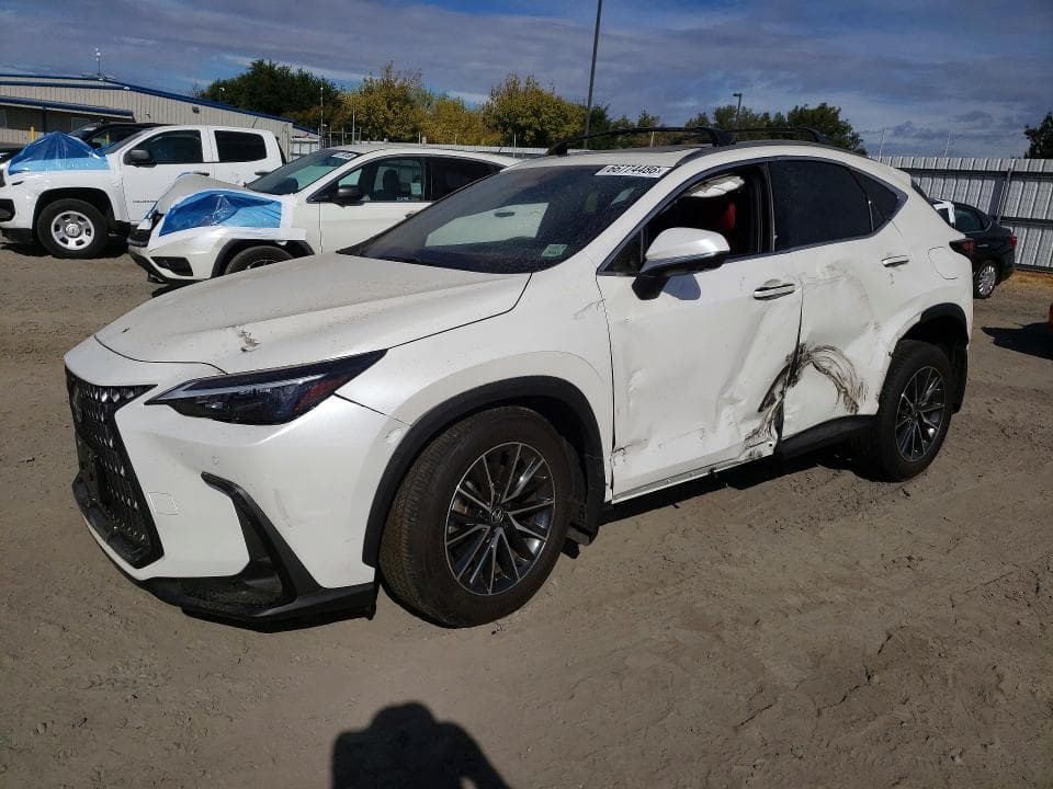 2025 LEXUS NX 350H PREMIUM - 1