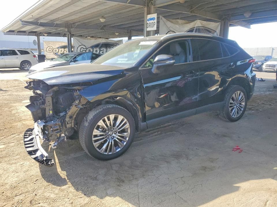 2024 TOYOTA VENZA XLE