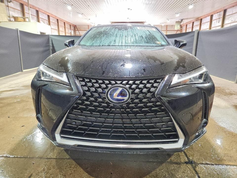 2019 LEXUS UX 250H 5