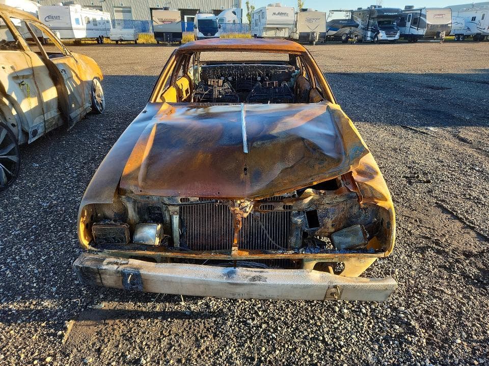 1982 AMERICAN MOTORS CONCORD DL 5