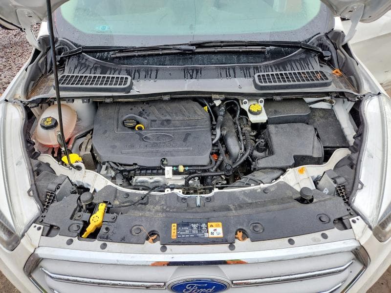 2018 FORD ESCAPE SEL 12