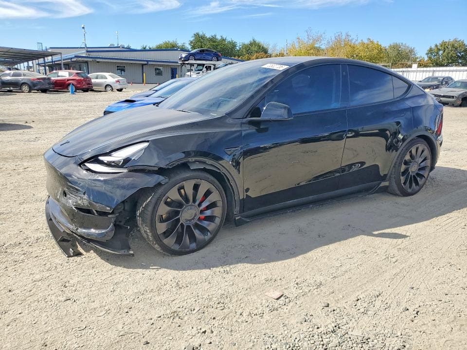 2023 TESLA MODEL Y - 1