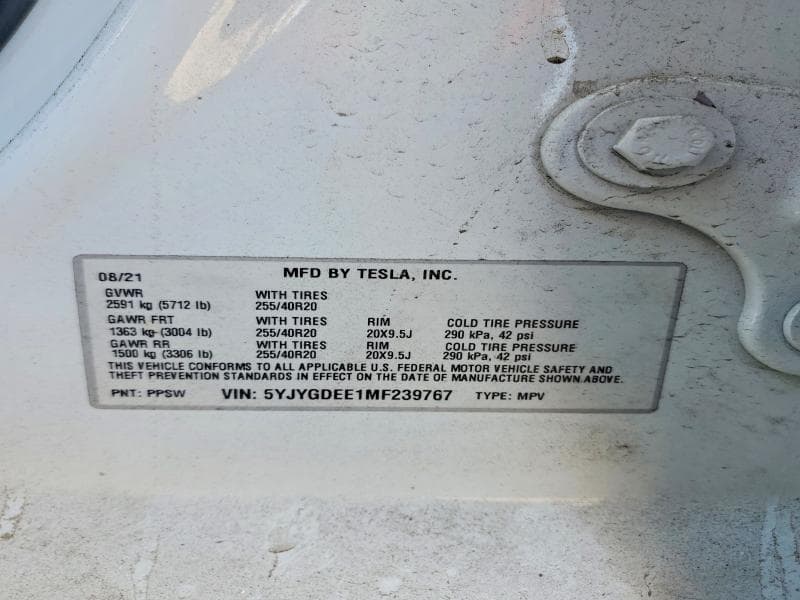 2021 TESLA MODEL Y 13