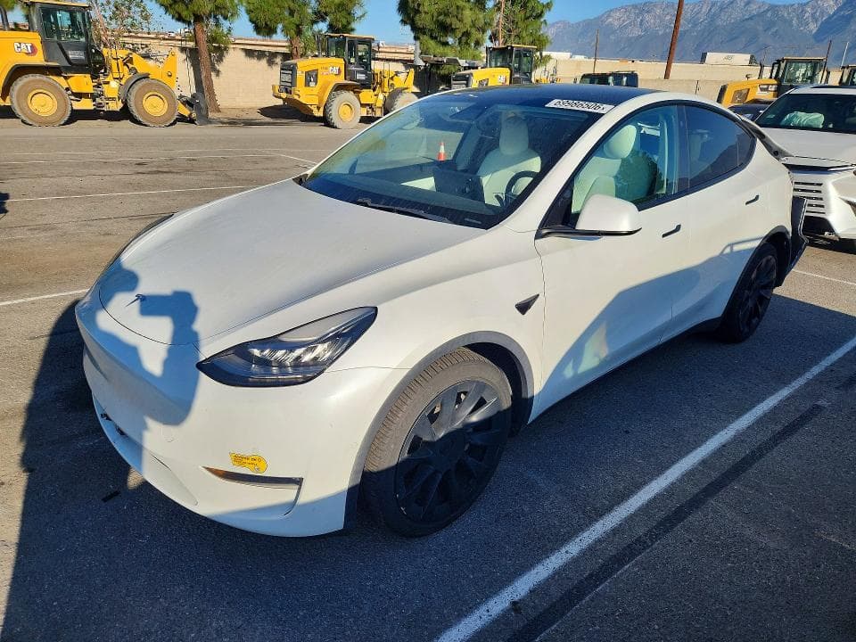 2020 TESLA MODEL Y - 1