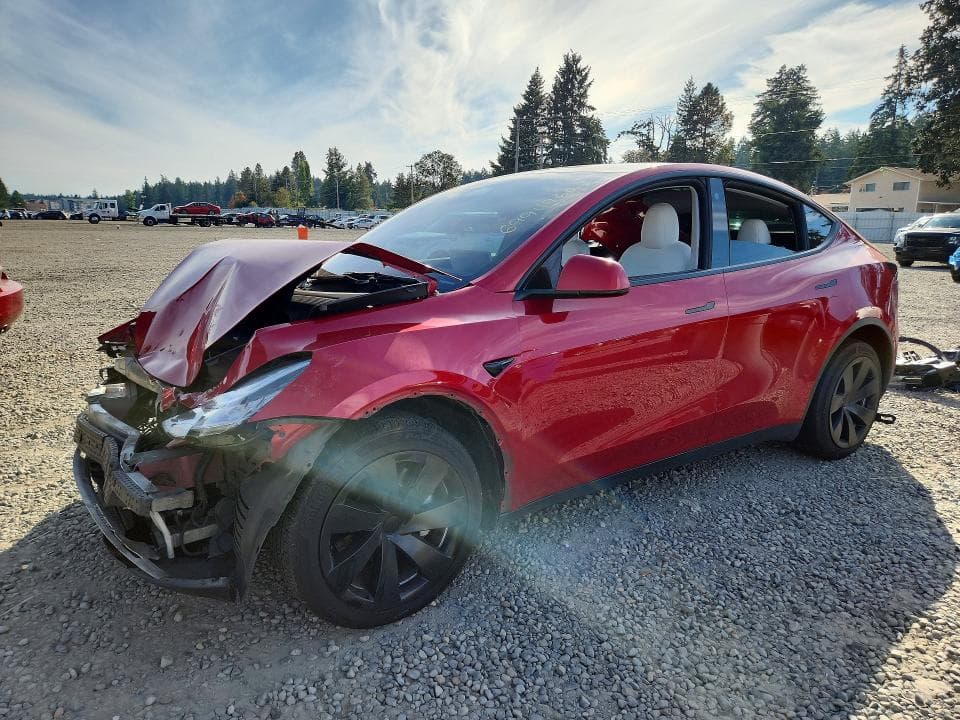 2021 TESLA MODEL Y - 1