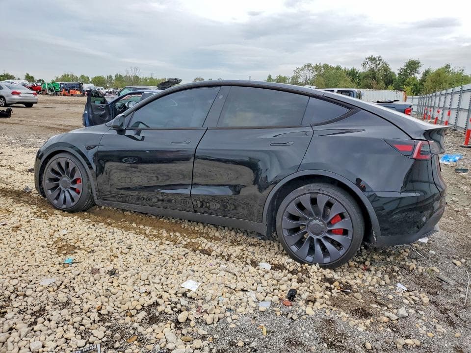 2024 TESLA MODEL Y 2